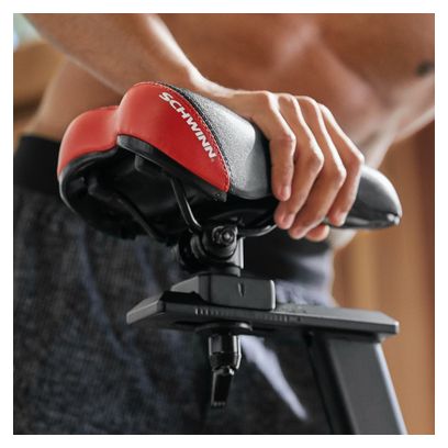 Schwinn Vélo de Biking  700IC