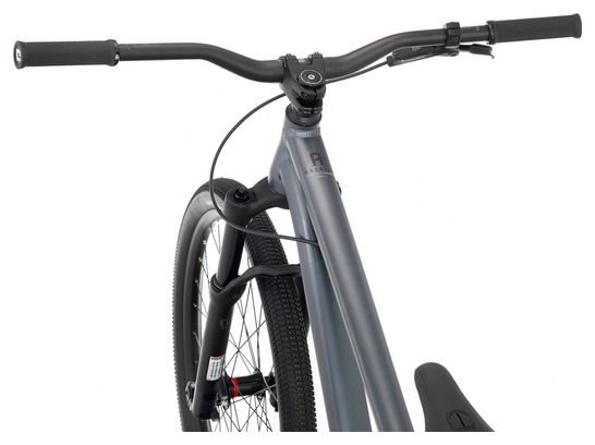Bicicleta de cross Commencal Absolut Grey Slate 2021