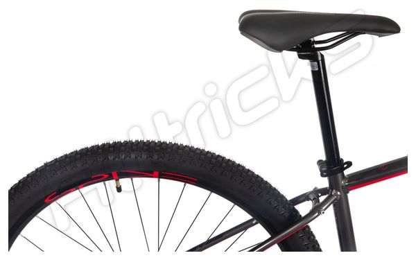 VTT Semi-Rigide BH Spike 1.0 Shimano 7v 29'' Gris / Rouge
