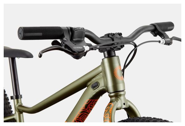 Cannondale Trail Plus 24'' Microshift 8S Green Mantis