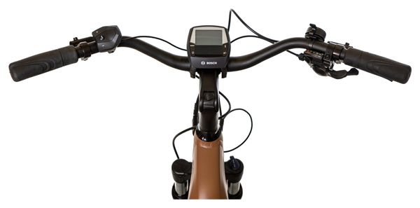 Bicicleta eléctrica de ciudad Bicyklet Victoire Shimano Alivio 9S 400 Wh 700 mm Marrón