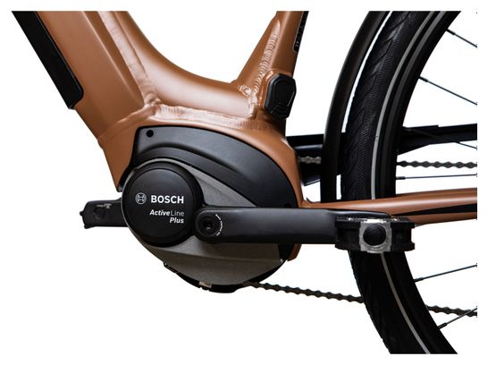 Bicicleta eléctrica de ciudad Bicyklet Victoire Shimano Alivio 9S 400 Wh 700 mm Marrón