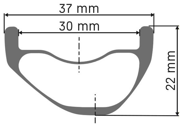 Hinterrad DT Swiss XMC 1500 Spline 30 29'' | Boost 12x148 mm | Center Lock