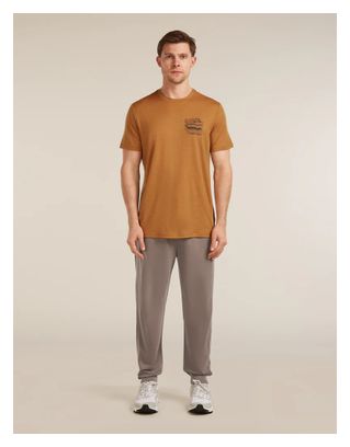 T-Shirt Icebreaker 150 Tech Lite Tee Evolving Lay Marron Homme 