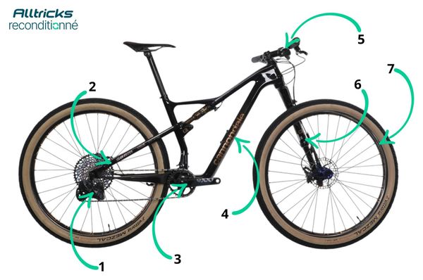 Junction Adult Helmet | Helmets | Cannondale