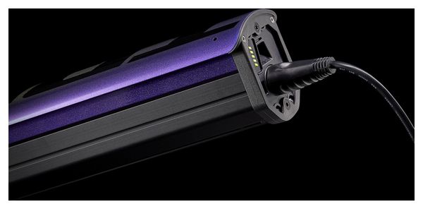 VTT Electrique Trek Powerfly 5 29'' Sram NX/SX Eagle 12V Purple Flip/Trek Black 2021