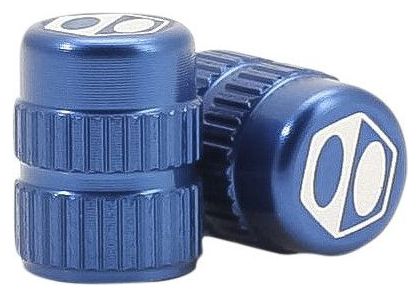Pair of Blue Schrader One Valve Box Tips