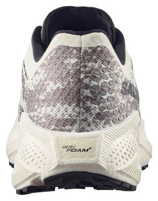 Chaussures Running Salomon Aero Glide 4 GRVL Blanc/Marron Homme