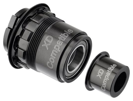DT SWISS kit conversion PAWL SYSTEM - SRAM XD