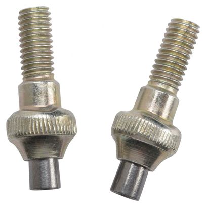 2 Pointes de rechange bâtons de randonnée Black Diamond Tech Tips - Carbide