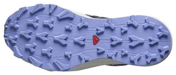 Women's Trail Running Shoes Salomon Thundercross GTX Black Blue