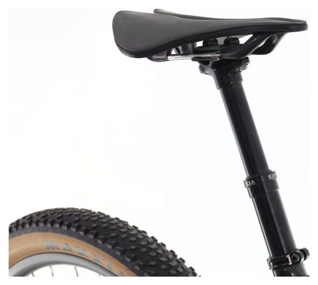 Produit reconditionné · Specialized Epic GX / Vélo VTT | Très bon état