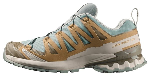 Salomon XA Pro 3D v9 GTX Trail Shoes, Blue/Khaki, Men's