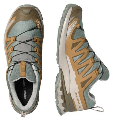 Salomon XA Pro 3D v9 GTX Trail Shoes, Blue/Khaki, Men's