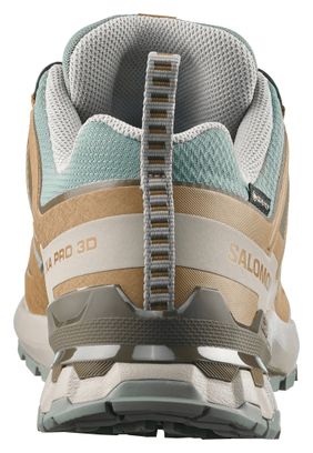 Salomon XA Pro 3D v9 GTX Trail Shoes, Blue/Khaki, Men's