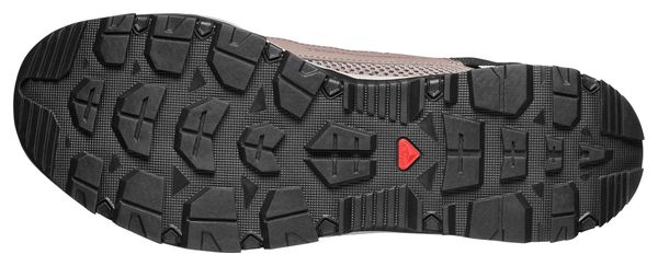 Amphibische Schuhe Salomon Techamphibian 5 Braun Herren