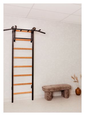 Espalier de gymnastique BenchK 231B