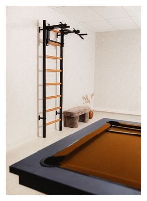 Espalier de gymnastique BenchK 231B