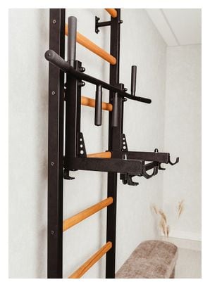 Espalier de gymnastique BenchK 231B