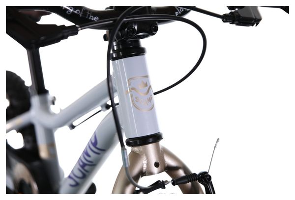 Bambini Scamp SmallFox Single Speed 14'' Beige Violet MTB