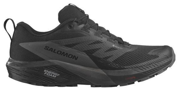 Chaussures de Trail Salomon Sense Ride 5 GTX Noir