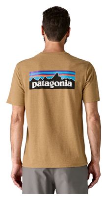 Maglietta Patagonia P-6 Logo Responsibili-Tee Giallo Uomo