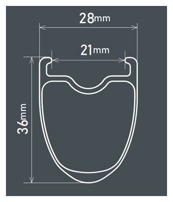 Shimano Ultegra R8170 C36 Ruota posteriore 700 mm I 12x142 mm I Centerlock