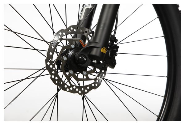 Ausstellungsrad - Sunn Tox S2 Sport Shimano Altus 8V 29'' 29'' Dunkelgrün 2023