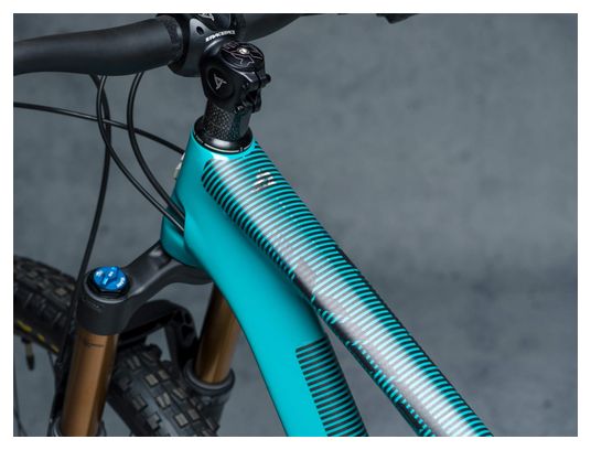 Kit de Protection Cadre Dyedbro Frame Stripes Noir