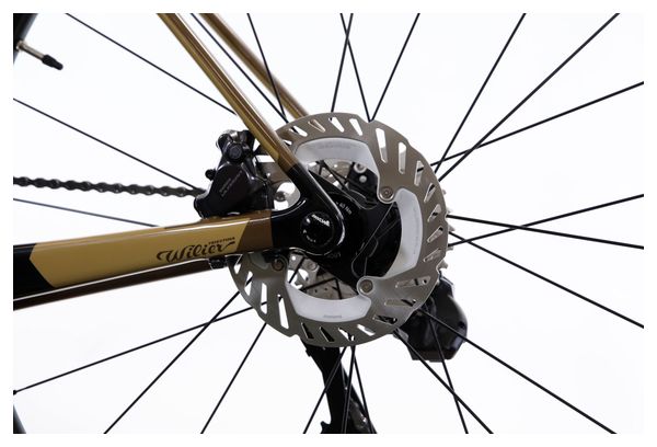 Wilier Triestina Rave SL Bici da strada Shimano Ultegra Di2 12S 700 mm Marrone Sabbia Beige 2025