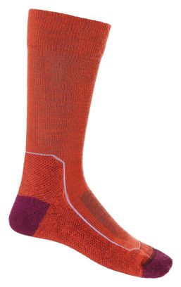 Icebreaker Hike+ Women's Merino Socks Orange/Violet