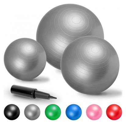 Swiss ball - Ballon de gym - Tailles : 55 cm  65 cm  75 cm - Couleur : GRIS - Diamètre : 55 CM
