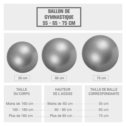 Swiss ball - Ballon de gym - Tailles : 55 cm  65 cm  75 cm - Couleur : GRIS - Diamètre : 55 CM