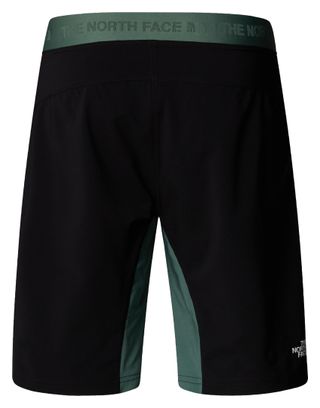 The North Face Felik Slim Shorts Grün Herren