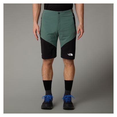 The North Face Felik Slim Shorts Grün Herren
