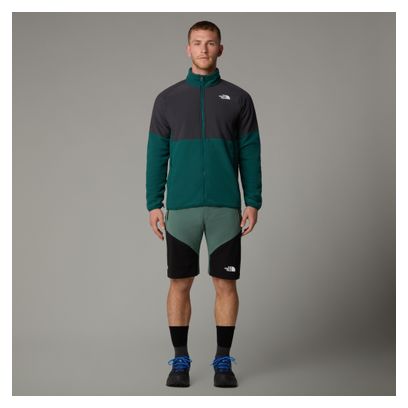 The North Face Felik Slim Shorts Grün Herren