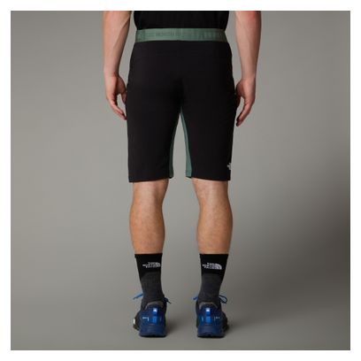 The North Face Felik Slim Shorts Grün Herren