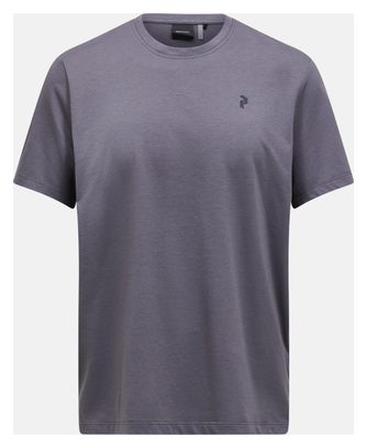 Maglietta Peak Performance Explore Graphic Grigio Uomo