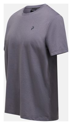 Maglietta Peak Performance Explore Graphic Grigio Uomo