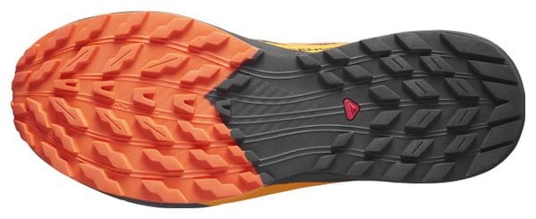 Salomon Sense Ride 5 GTX Trail Shoes Black / Orange