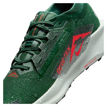 Nike Pegasus Trail 5 GTX Trailschoenen Grijs/Kaki Heren