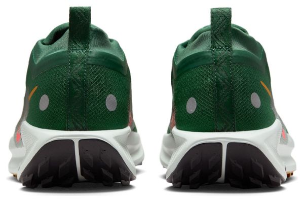 Nike Pegasus Trail 5 GTX Trailschoenen Grijs/Kaki Heren