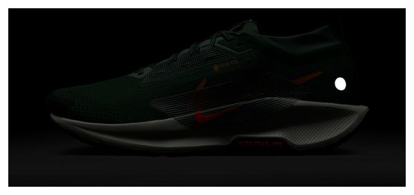 Nike Pegasus Trail 5 GTX Trailschoenen Grijs/Kaki Heren