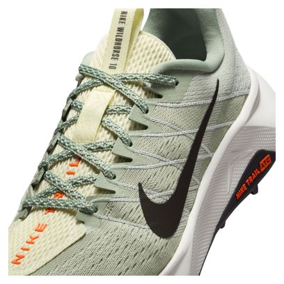 Zapatillas Trail Nike Wildhorse 10 Gris Hombre