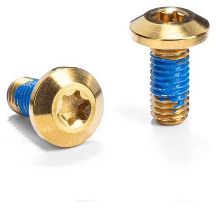 Paar Flaschenhalterschrauben Titan M5 x 12 mm absoluteBLACK Gold