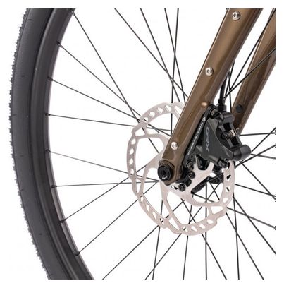 Gravel BOMBTRACK Audax  Metallic Dark Brown