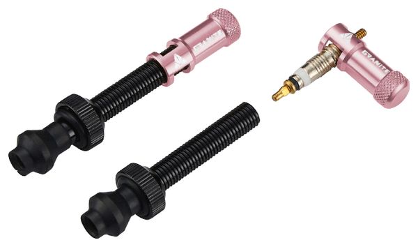 Paire de Valves Tubeless Granite Design Juicy Nipple 45 mm avec Bouchons Démonte-Obus Rose