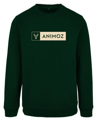 Animoz Daily Pullover Grün