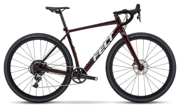 Hego Leonardo 2012: Bici da corsa con Freni a Disco