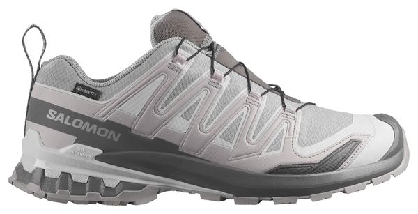 Scarpe da trail Salomon XA Pro 3D V9 GTX grigie da uomo